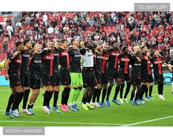 博尼法斯进球与助攻双威胁解析