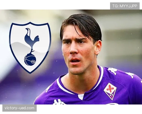 从紫百合锋霸到斑马支点：弗拉霍维奇角色转型的战术逻辑与适应性分析