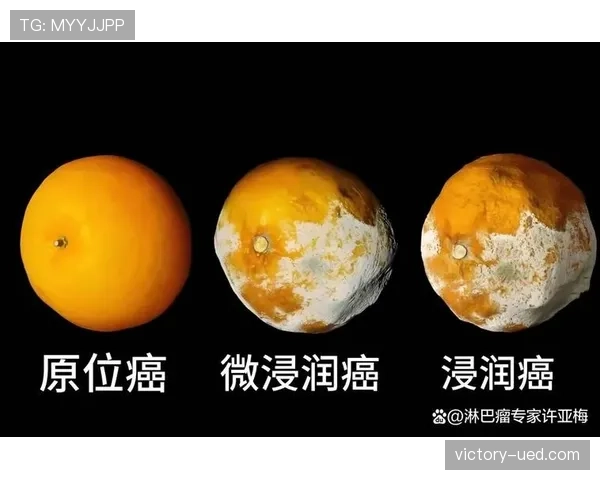 帕尔默与萨卡进攻全面性差距的关键维度解析